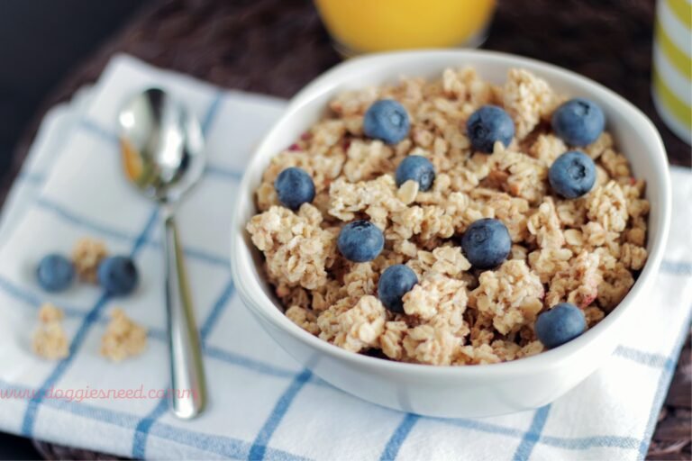 Blueberry Oatmeal Cookies