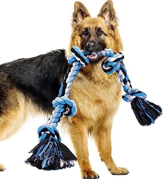 Braided Tug Toy for dogs