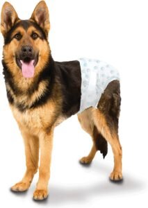 male dog diapers