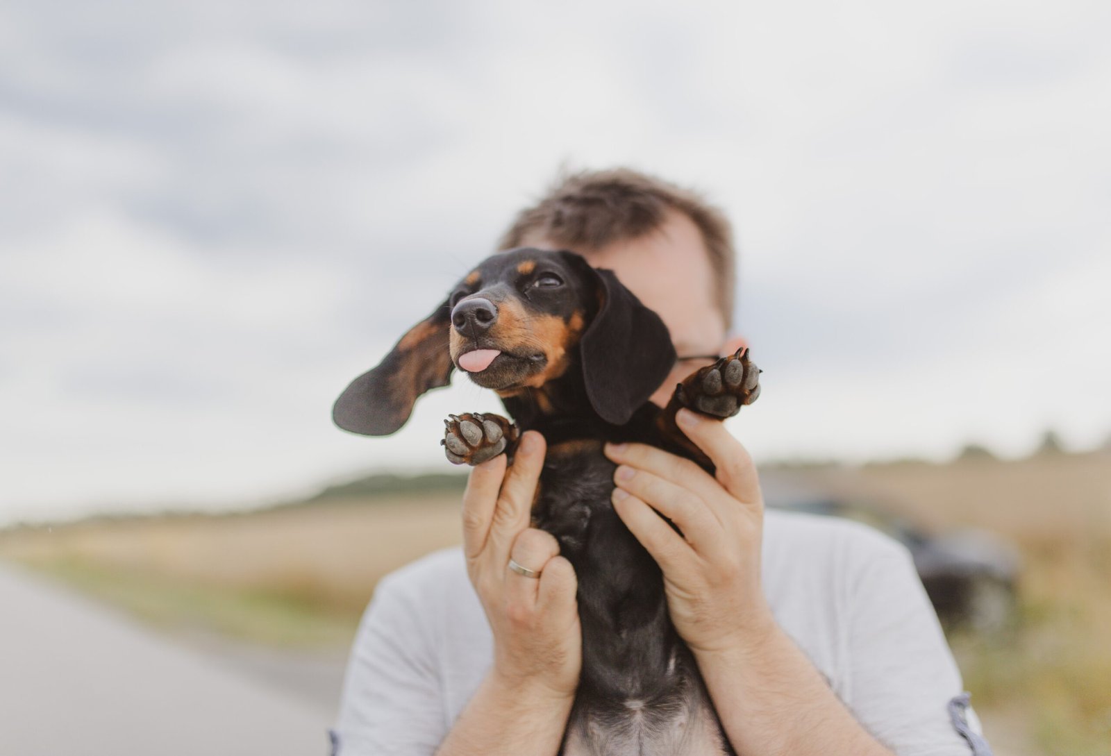 Puppy Playtime